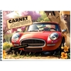 CARNET ENTRETIEN PANHARD SERA SNP5