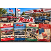 NASH