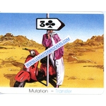 SCOOTER VESPA CARTE ORACLE DESSUART