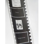 FILM FIXE HISTOIRE NATURELLE RUMINANTS