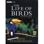 COFFRET DVD LIFE OF BIRDS - DAVID ATTENBOROUGH - DOCUMENTAIRE