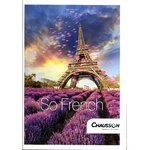 CATALOGUE CHAUSSON SO FRENCH 2017 CAMPING-CARS ET VANS