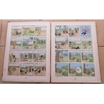 Z5BD ALBUM TINTIN AU CONGO 1949 EDITION B3