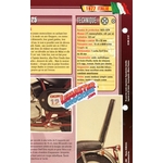 FICHE MOTO FANTIC CHOPPER 125 1977
