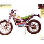 FICHE MOTO TRIAL BETA ALP