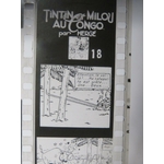 TINTIN AU CONGO 1950 FILMS FIXE