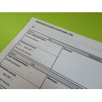 MANUEL RENAULT TWINGO 2   CARNET (NÉERLANDAIS)