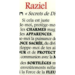 carte-energetique-raziel-secrets-divins-format-cb