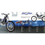 scorpa-sy250-collection-2005-brochure-moto-trial-yamaha