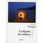 LA DIGNITE DES OMBRES ROMAN - MATTHIEU NIANGO - JULLIARD - 9782260054658-lemasterbrockers