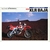 BROCHURE-MOTO-HONDA-xlr-baja-JAPONAIS-LEMASTERBROCKERS
