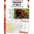 FICHE-RENAULT-TYPE-C-1900-fiche-auto-lemasterbrockers-cars-card-french
