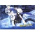 SHERCO 250 300 450 510 I IR CATALOGUE 2013