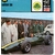 FICHE AUTO LOTUS 38-CARS-CARD-LEMASTERBROCKERS