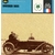 PHOTO-FICHE AUTO BRASIER 1905