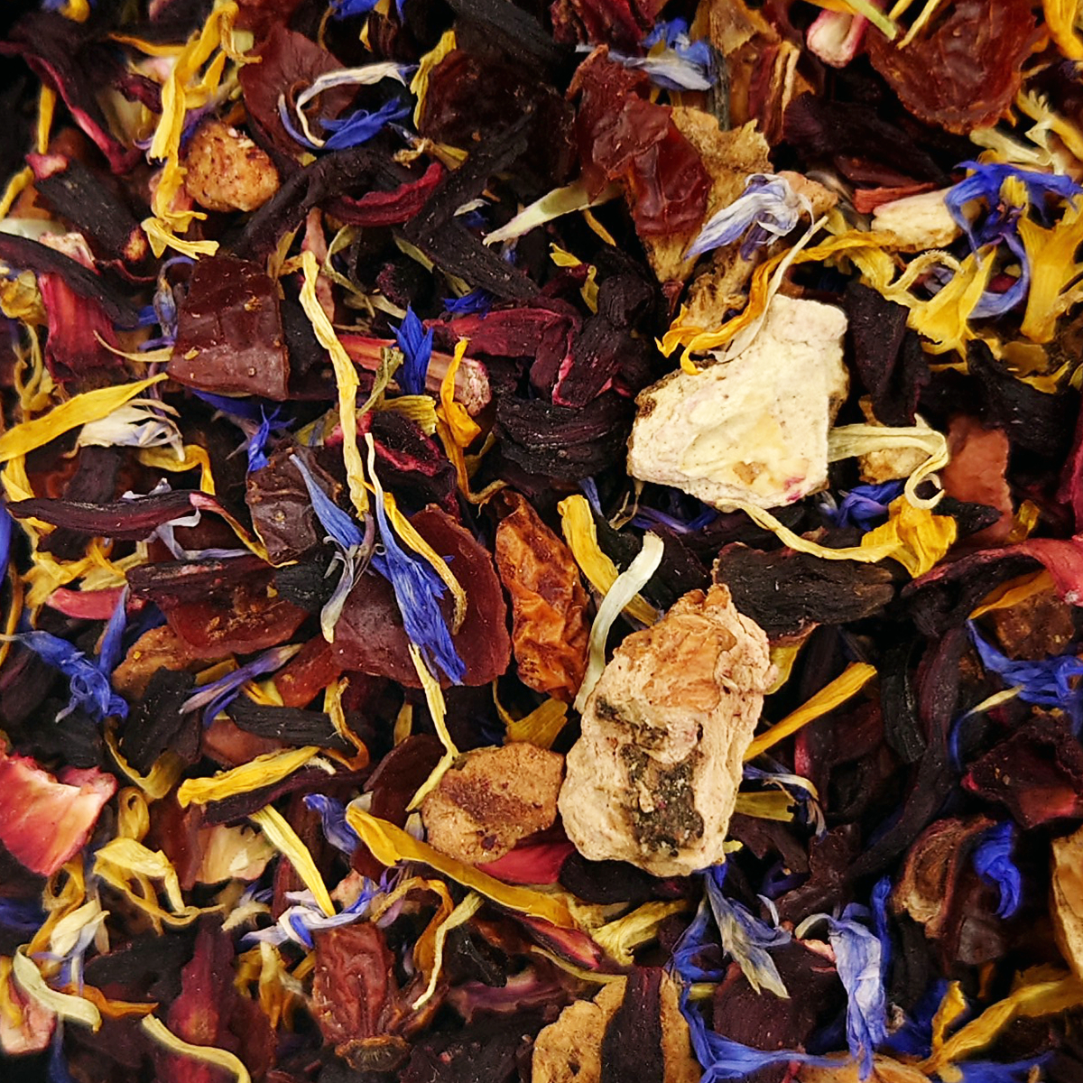 Samba _ tin (5)