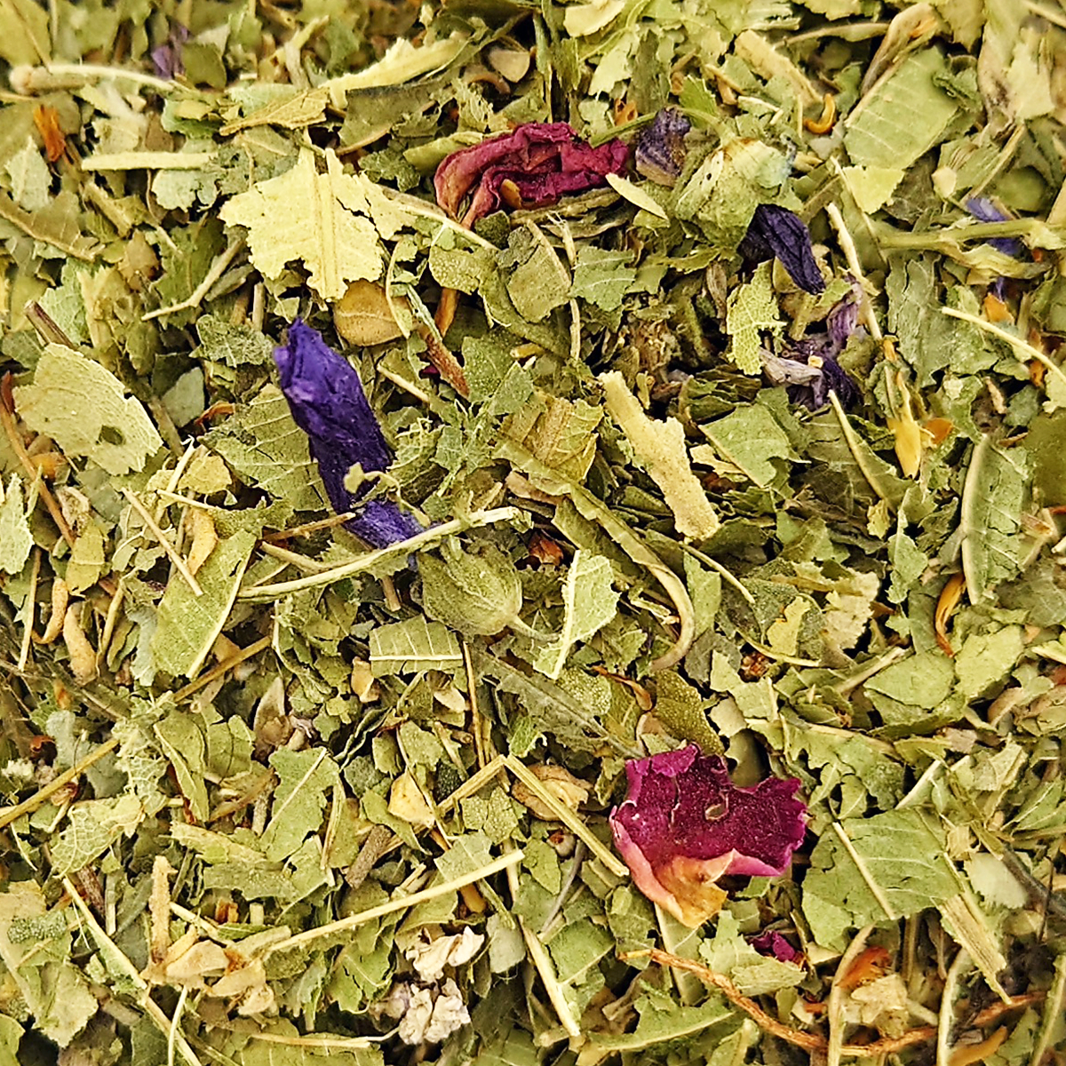 Tisane des Merveilles _ thé glacé (5)