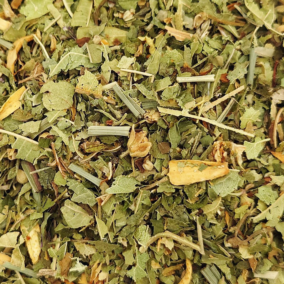 Tisane du Berger _  suremballé (6)