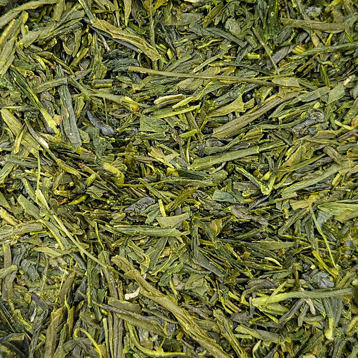 Sencha Fukuyu _ tin (5)