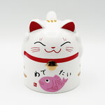 ojtm57_Mug Chat Rose - à l'envers_15,00€ (1)