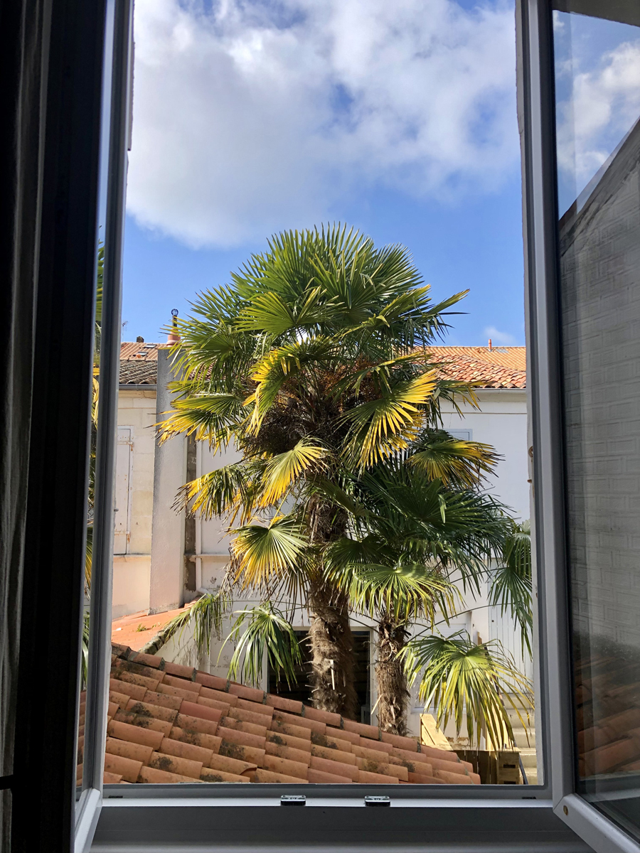 appart palmier 78