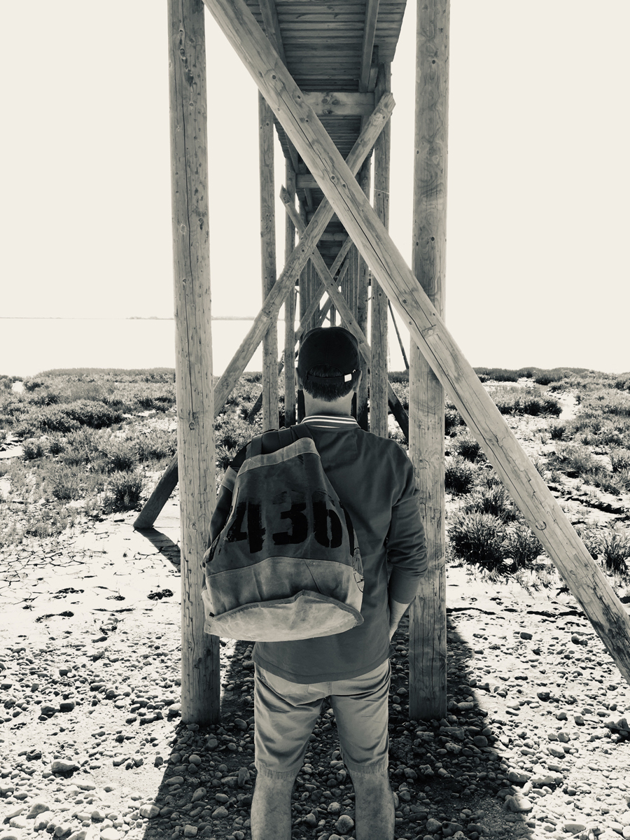 sac tl in situ 00
