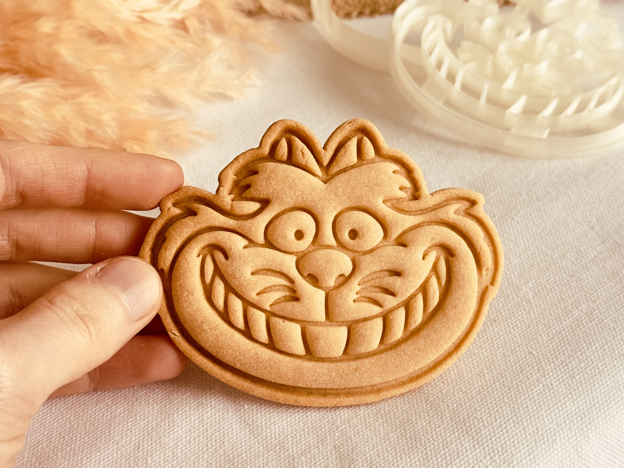 cheshire