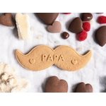 moustache paap-Photoroom