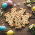 lapin pain depice
