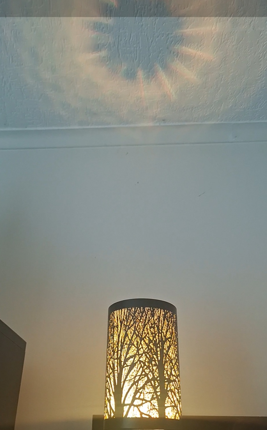 1000027178