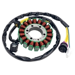 alternateur-stator-bobine-compatible-Buyang-300