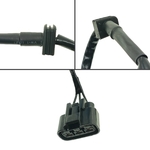 main-image-5 (1)