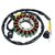 alternateur-stator-bobine-compatible-Buyang-300