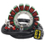stator-générateur-Kawasaki-VN900