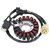 stator-alternateur-Honda-Rancher-TRX350FE-31120-HN5-M01