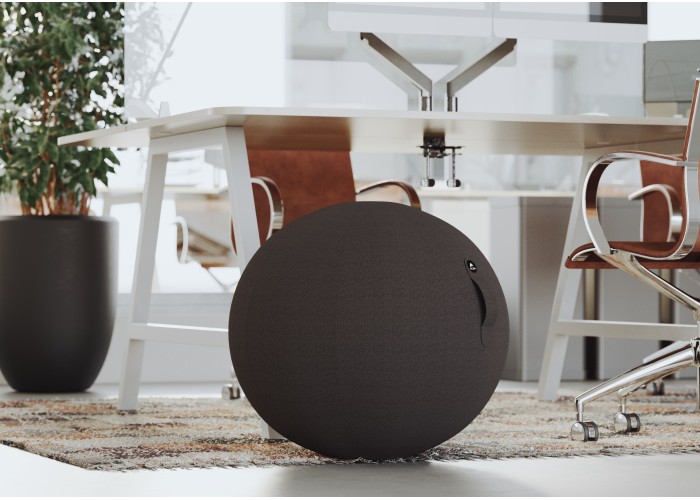 ballon-ergonomique-ergoball-noir