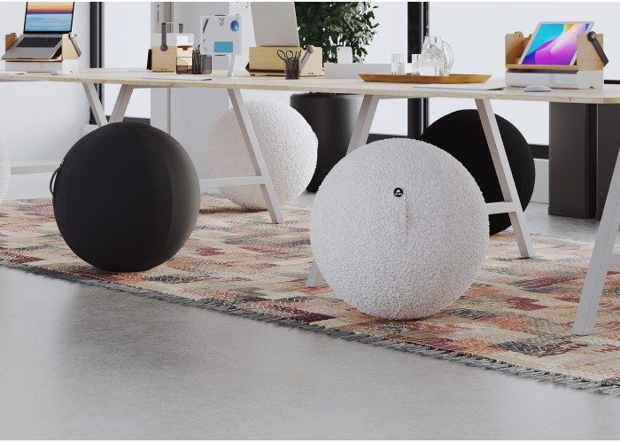 ballon-ergonomique-ball-blanc