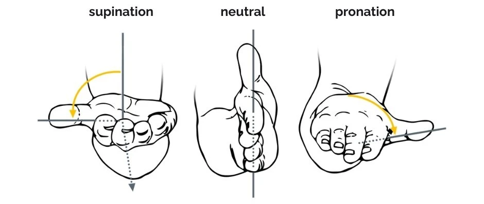 INT_Pronation-Gifpro