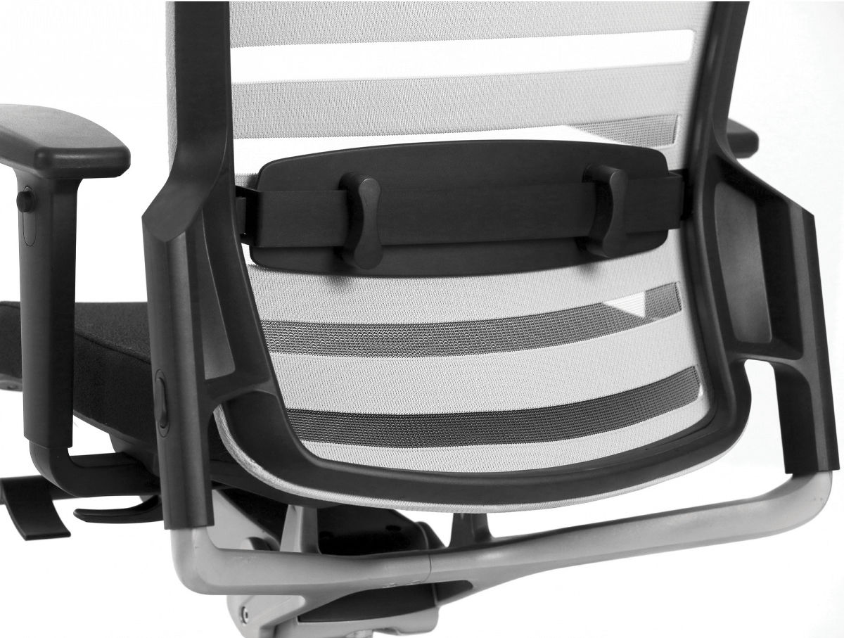 eurosit-e8-gris-noir-4d-dos-stripe-lombaire