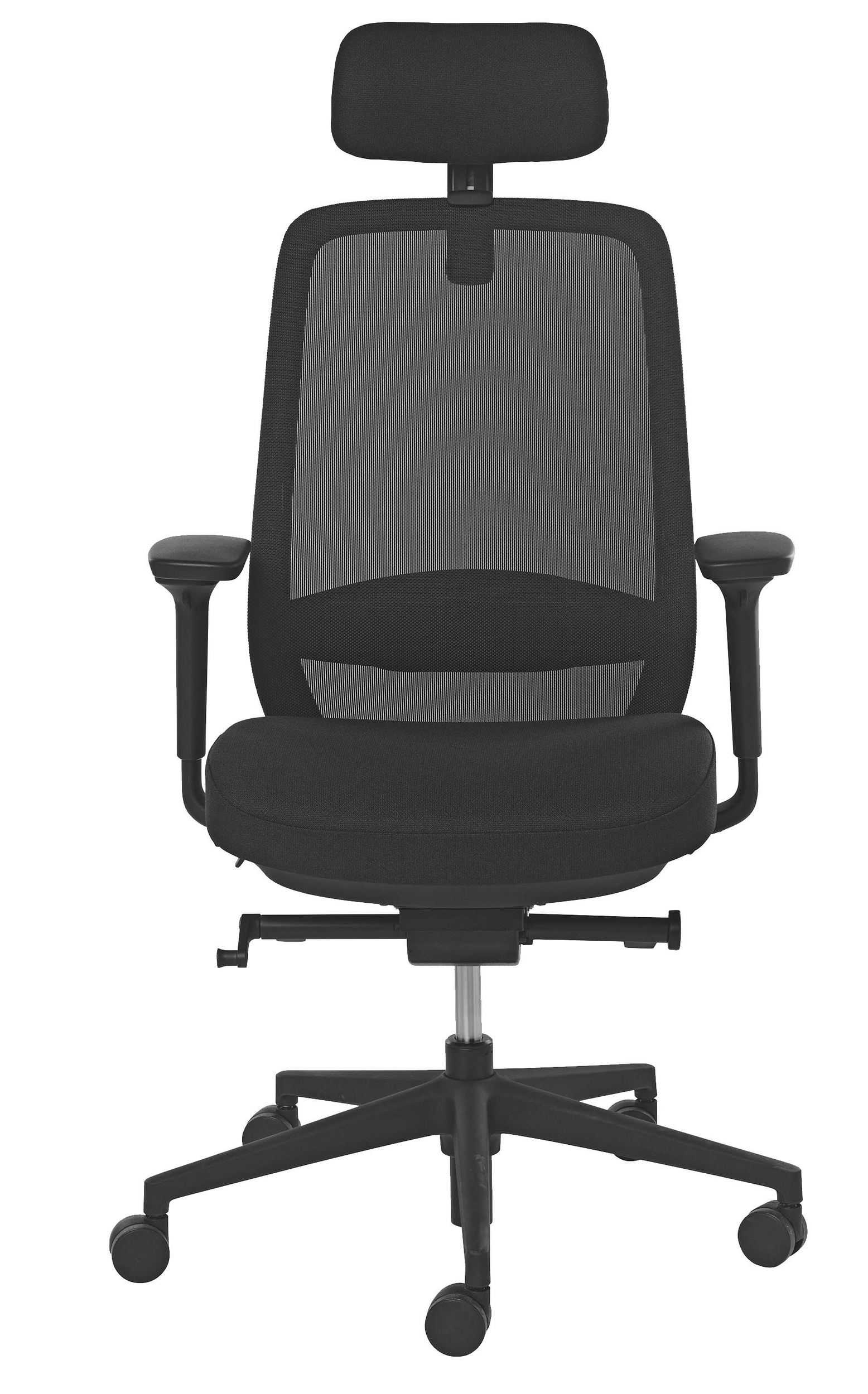 Ecoback1 face