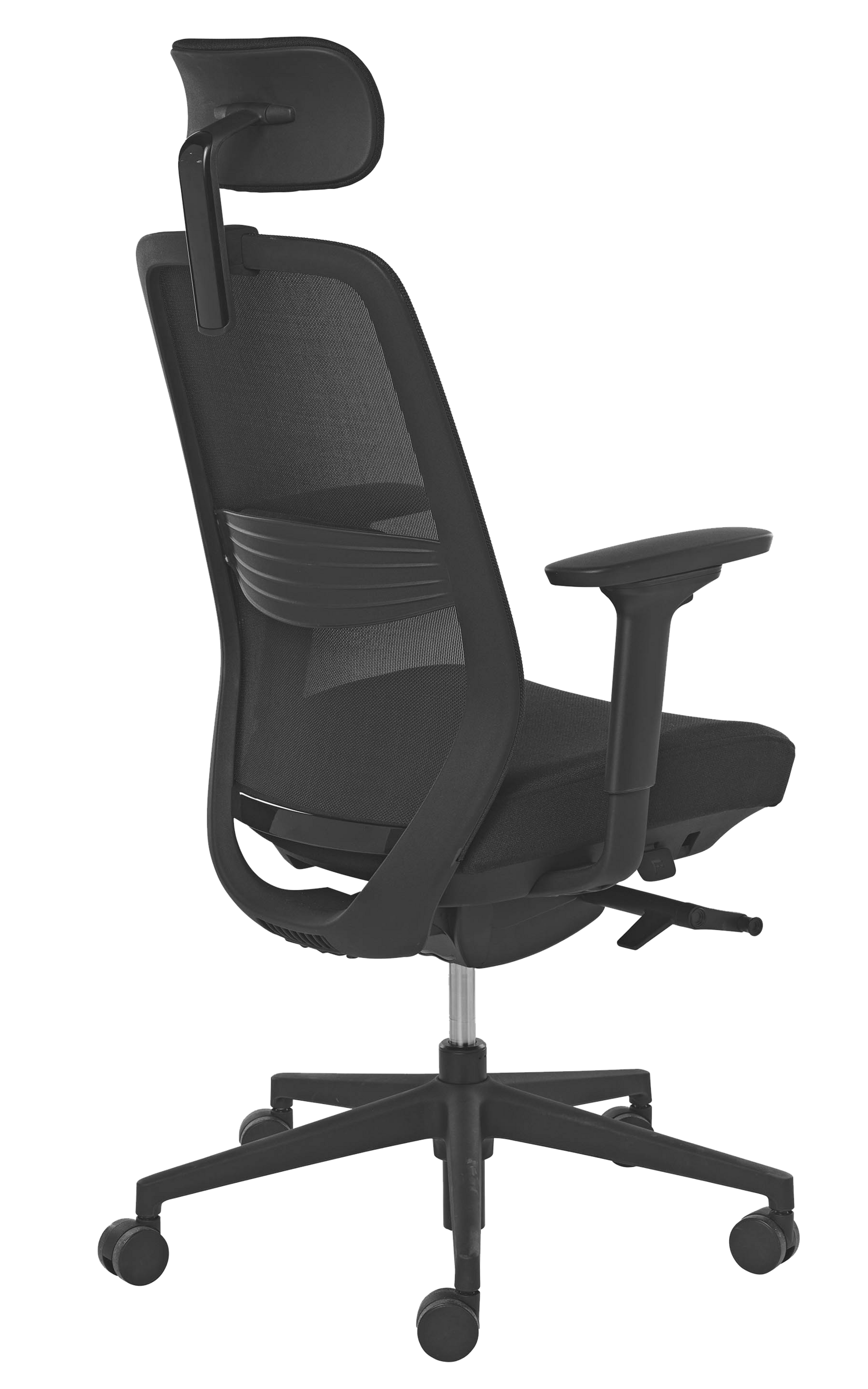 Ecoback1 trois 4 arriere