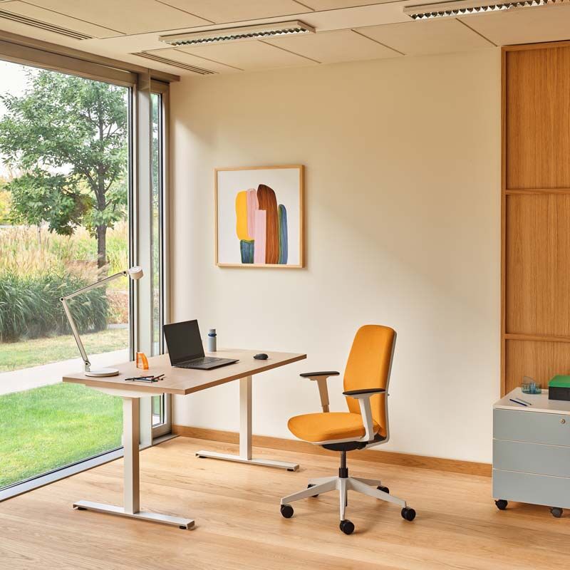 OGI T MDD bureau individuel pietement RAL 9010 plateau chene canadien