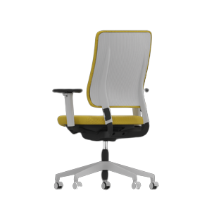 Drumbak jaune dos