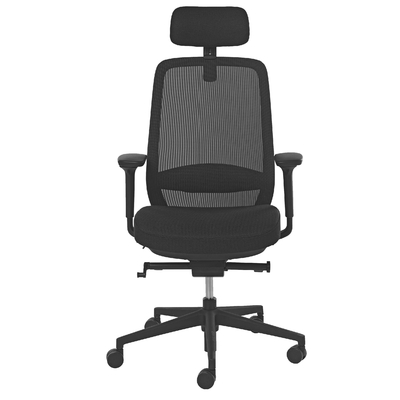 Ecoback1 face