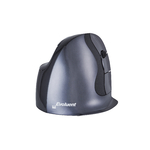 Souris Evoluent D sans fil vue de dos