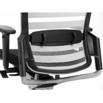 eurosit-e8-gris-noir-4d-dos-stripe-lombaire