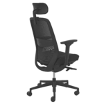 Ecoback1 trois 4 arriere