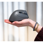 int-grip-pro-presentation