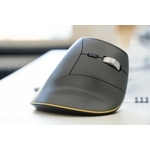 fast-formard-3