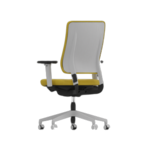Drumbak jaune dos